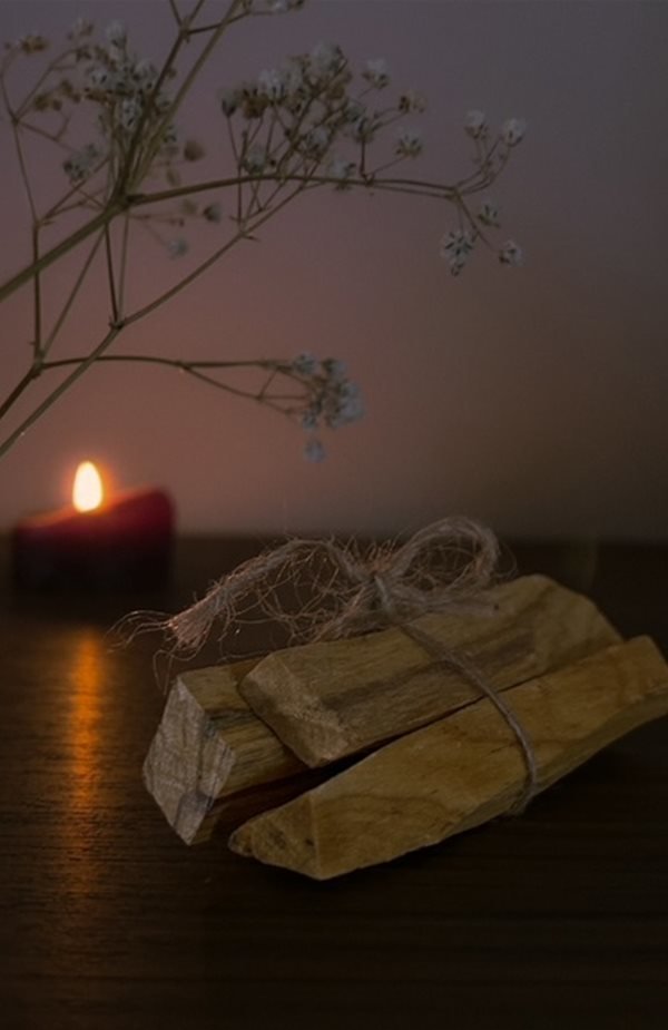 Palo Santo  I Tesori della Terra